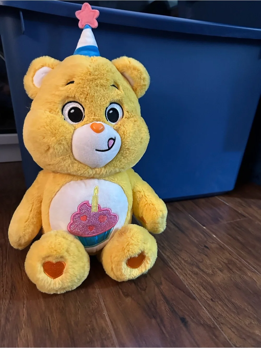Care‎ bear Birthday Bear with Cupcake Design